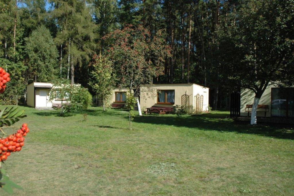 Ow Mikomania Charzykowy Extérieur photo