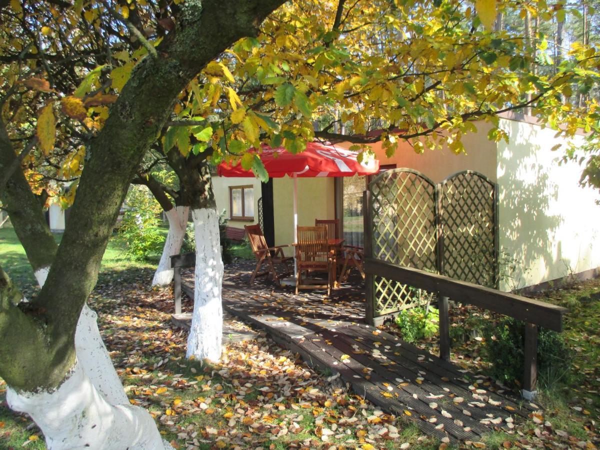 Ow Mikomania Charzykowy Extérieur photo